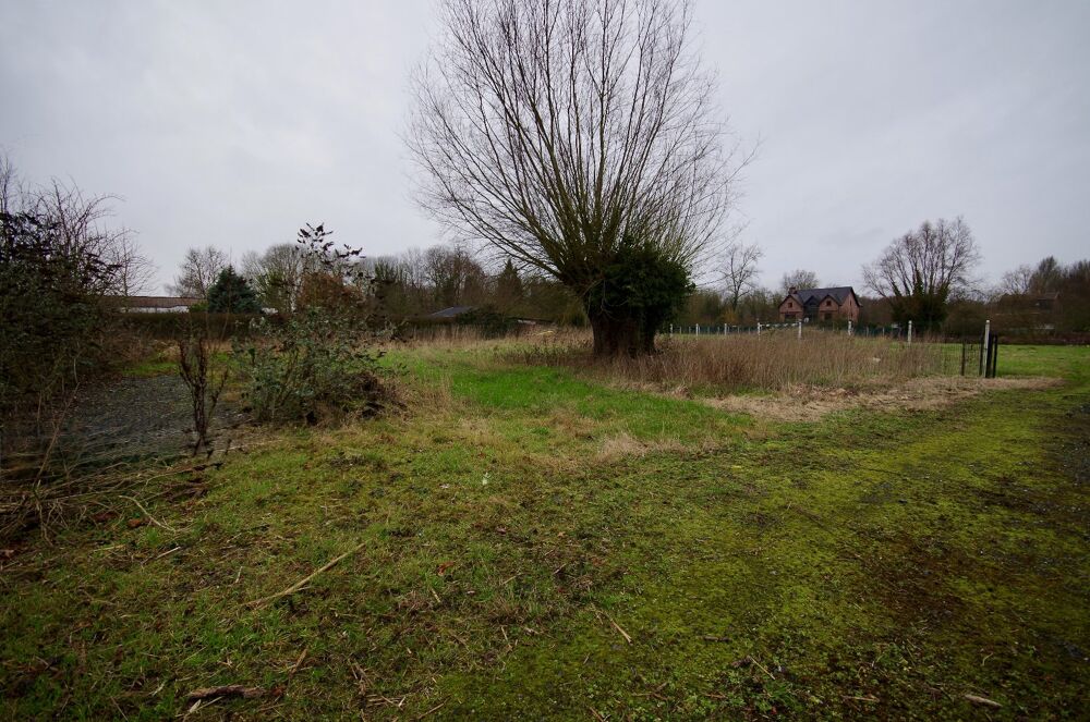 Vente Terrain Terrain constructible Estrun