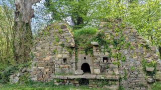  Villa � vendre 15 + pi�ces 535 m�