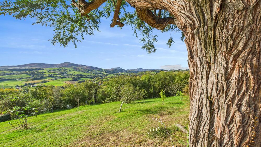 � vendre  Maison Hasparren (64240)