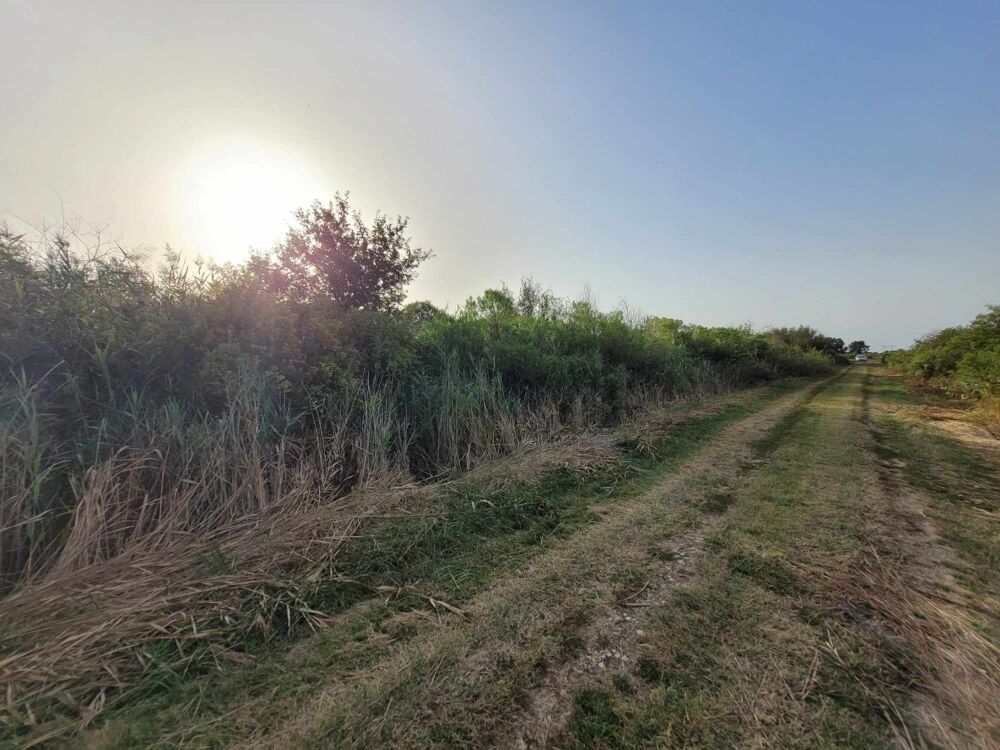 Vente Terrain Terrain Saint bonnet sur gironde