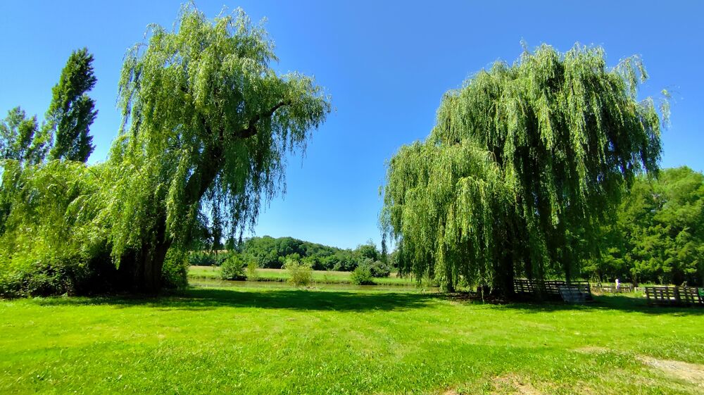 � vendre  Maison Peyrehorade (40300)