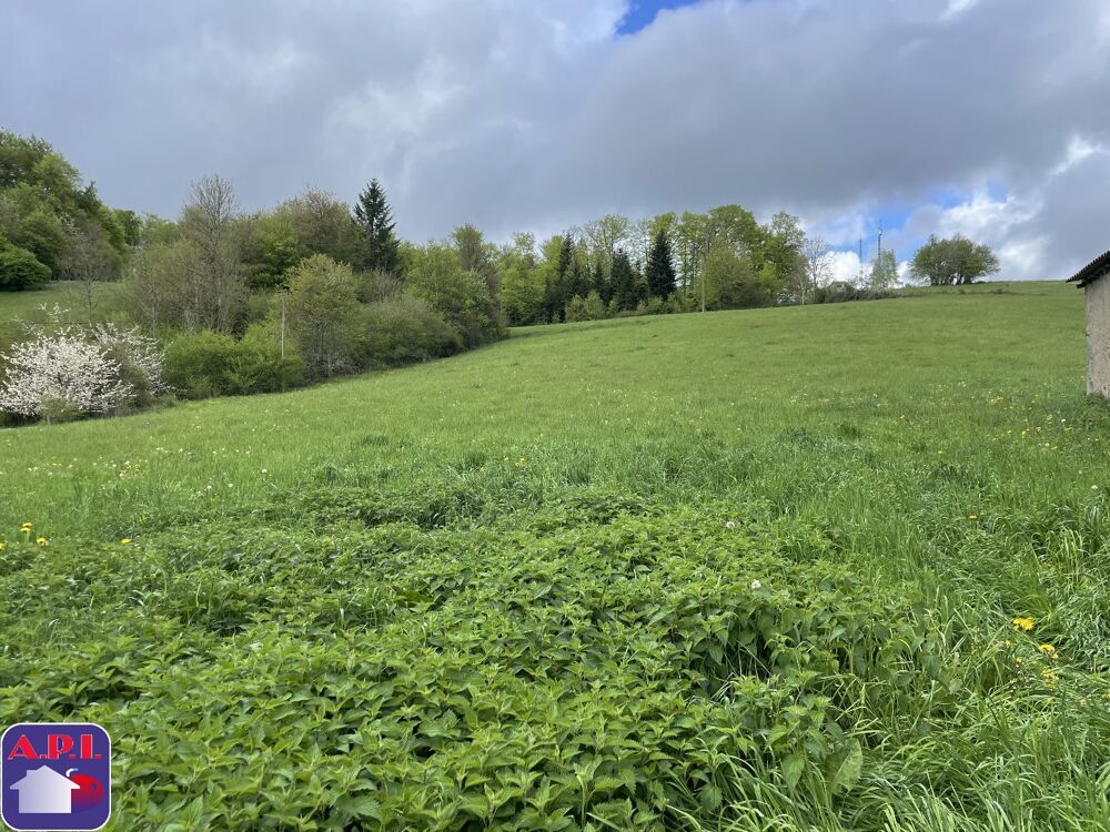 Vente Terrain Terrain Roquefeuil