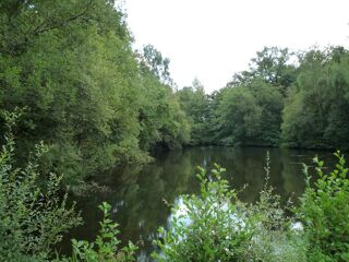  Terrain � vendre 41380 m�