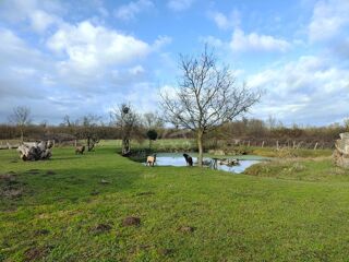  Maison � vendre 6 pi�ces 185 m�