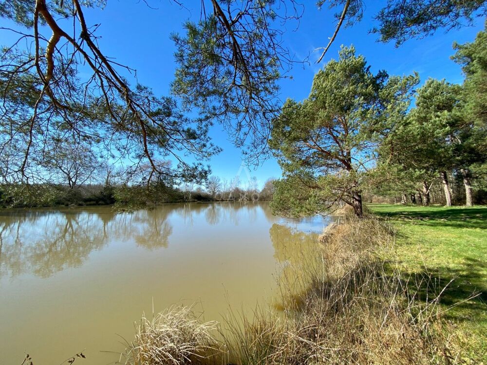 Vente Terrain Etang Saint brisson sur loire