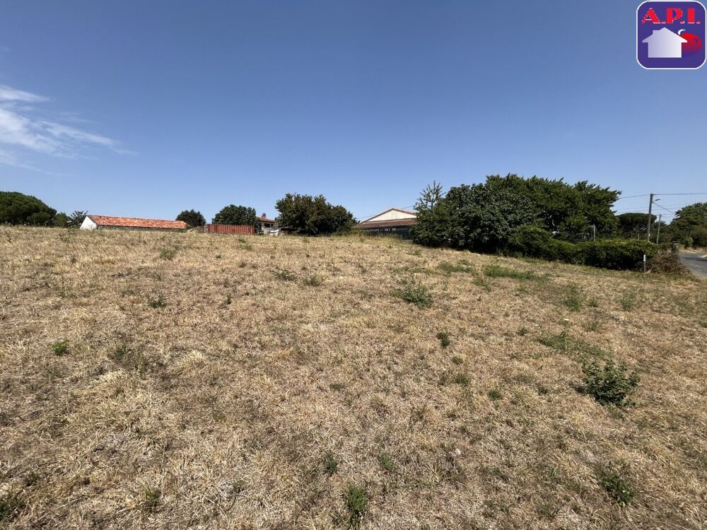 Vente Terrain Terrain Saverdun