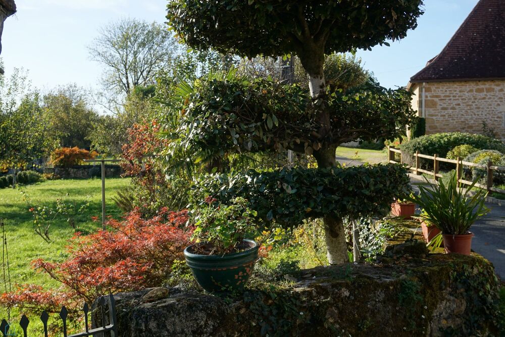 Vente Maison Maison de caractère Saint sulpice d'excideuil