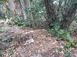  Terrain � vendre 769 m�