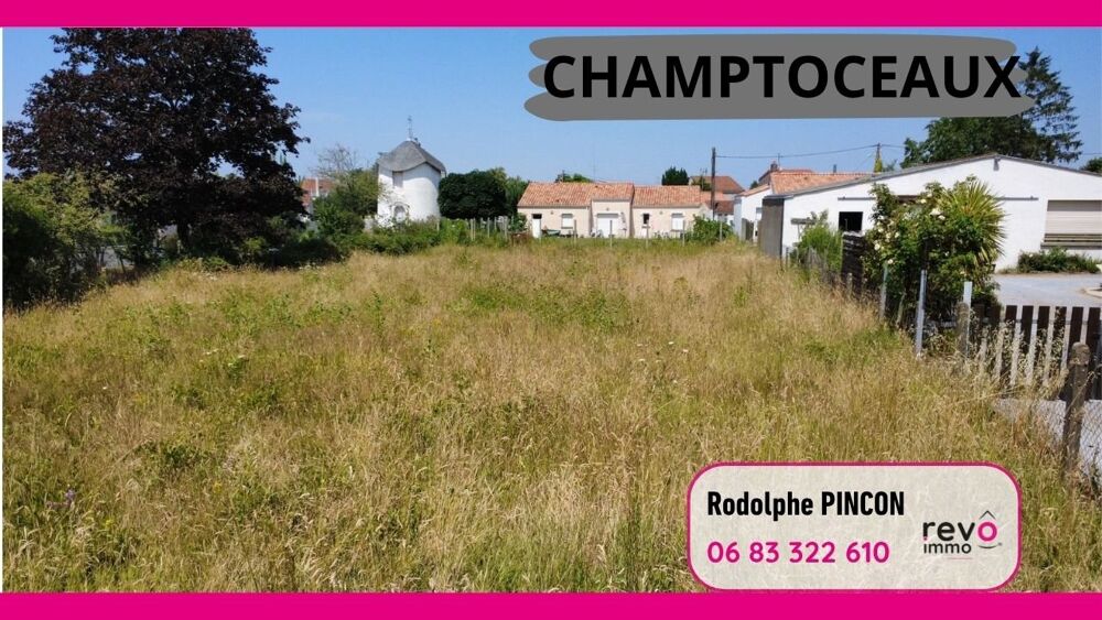 Vente Terrain Terrain constructible Champtoceaux