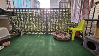  Appartement � vendre 3 pi�ces 75 m�