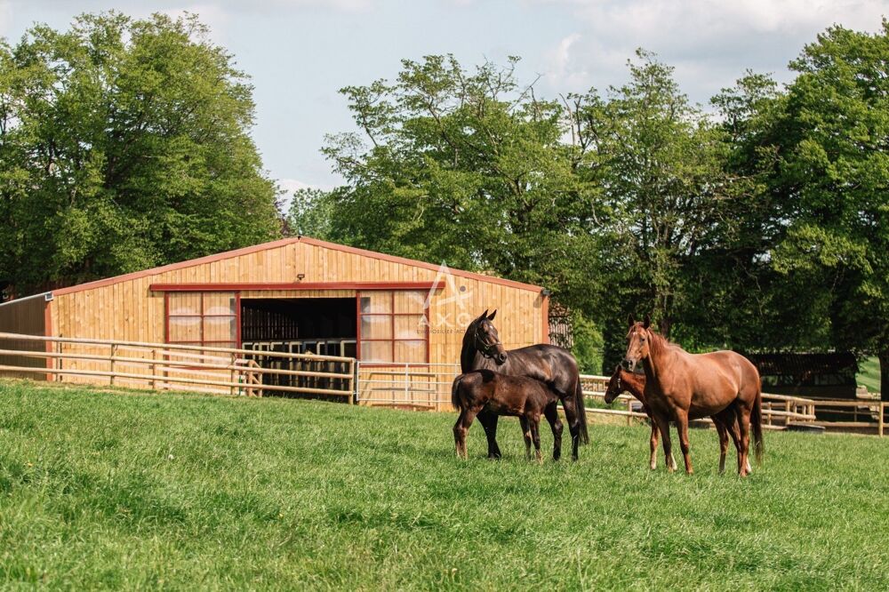 � vendre  Maison La Fert�-Mac� (61600)