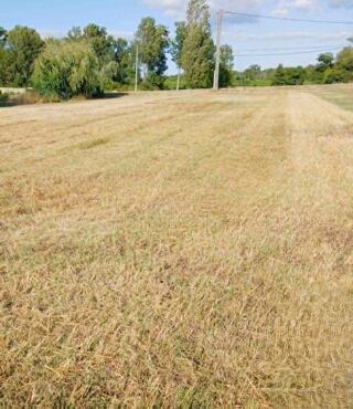  Terrain à vendre 1257 m²