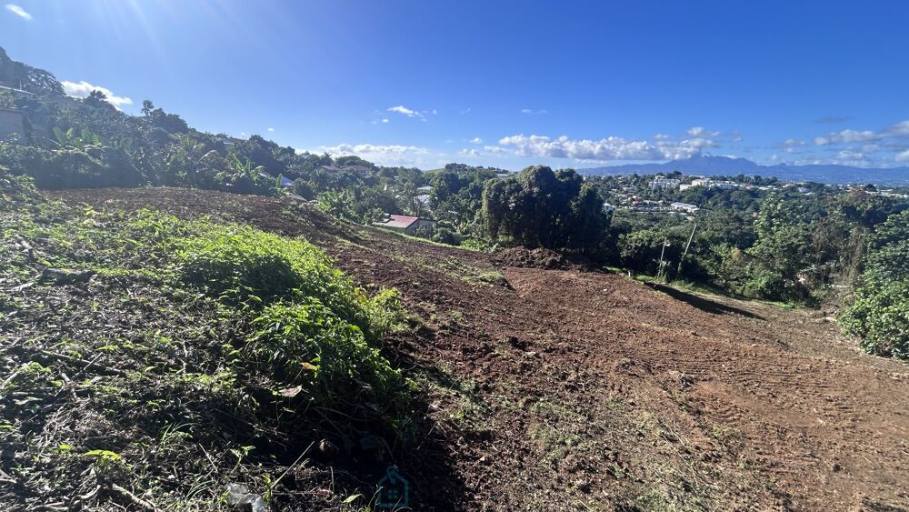 Vente Terrain Terrain constructible Ducos