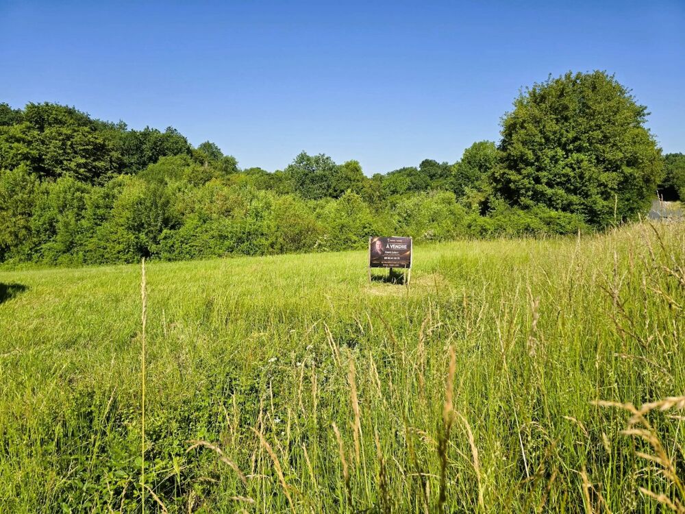 Vente Terrain Terrain Saintes
