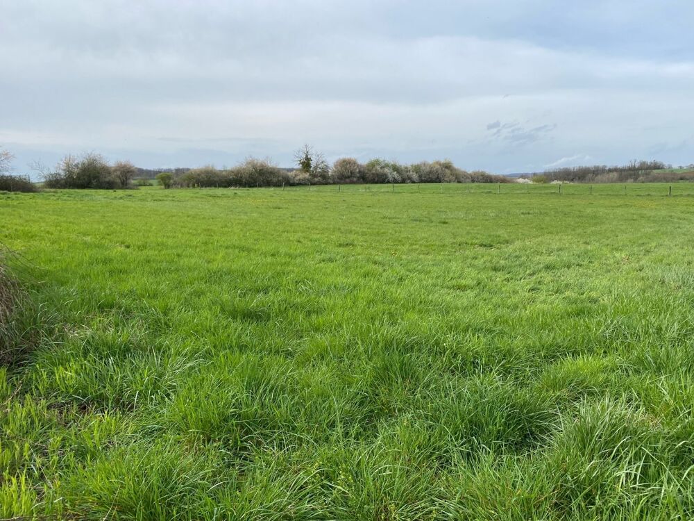 Vente Terrain Terrain Velleminfroy