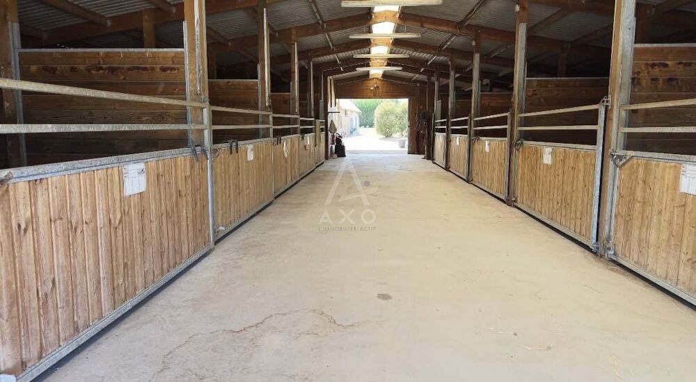 Vente Maison Haras / Equestre Saint mars du desert