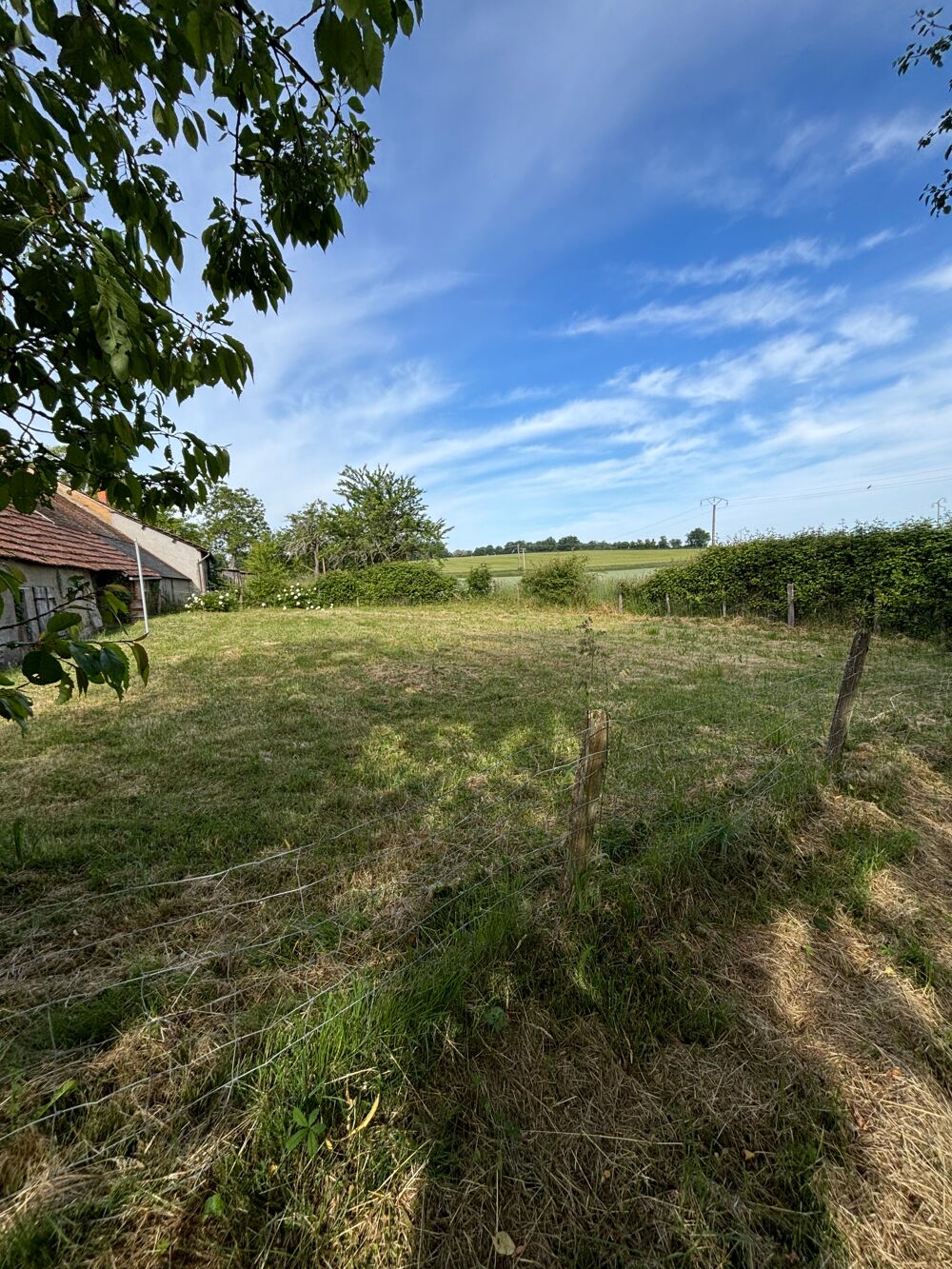 Longere