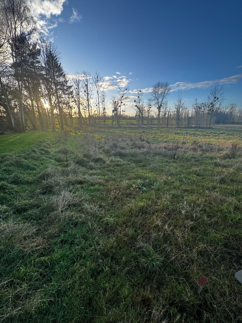 Vente Terrain Terrain Hédé-bazouges