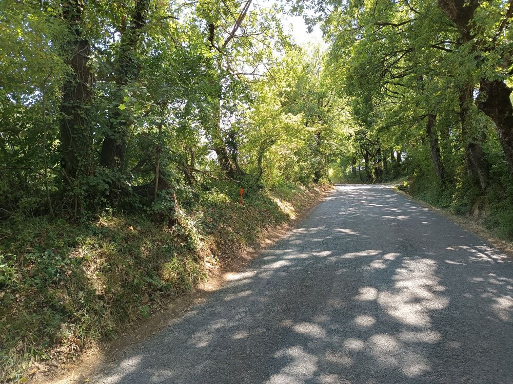 Vente Terrain Terrain constructible Saix