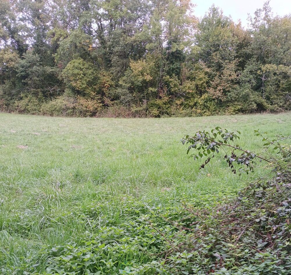 Vente Terrain Terrain constructible Riberac