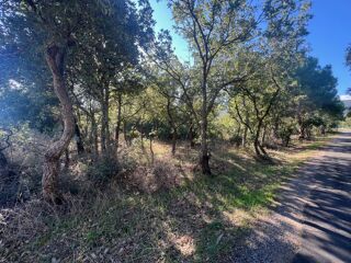  Terrain � vendre 30800 m�