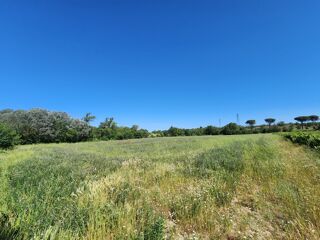  Terrain à vendre 54562 m²