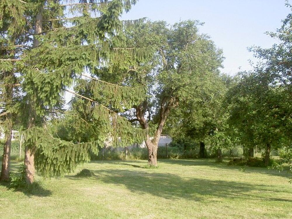Vente Terrain Terrain Esmans