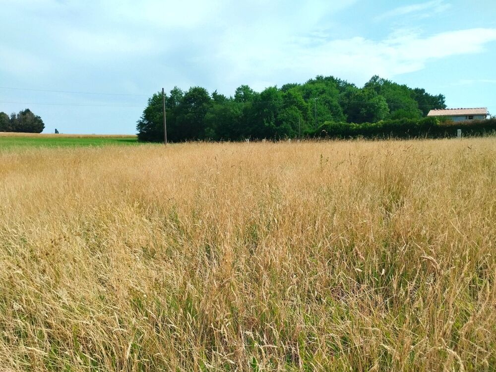 Vente Terrain Terrain Merignac