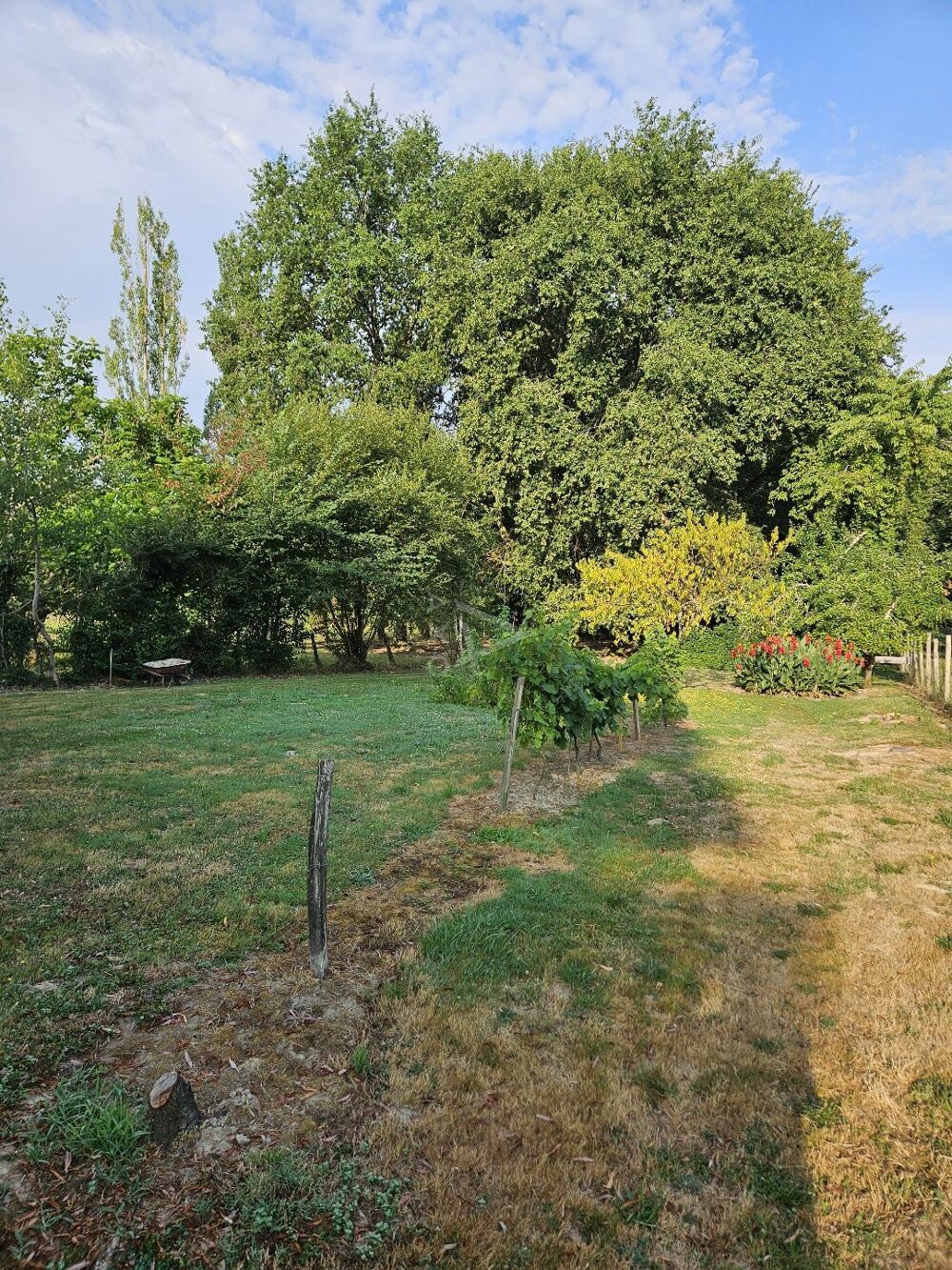 Vente Maison Maison individuelle Castelnau d'auzan