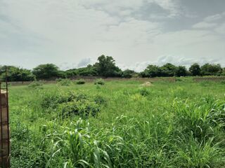  Terrain � vendre 1436 m� Ngaparou