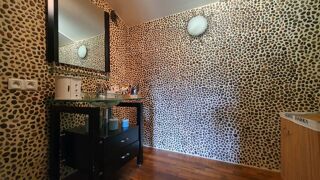  Maison � vendre 14 pi�ces 232 m�