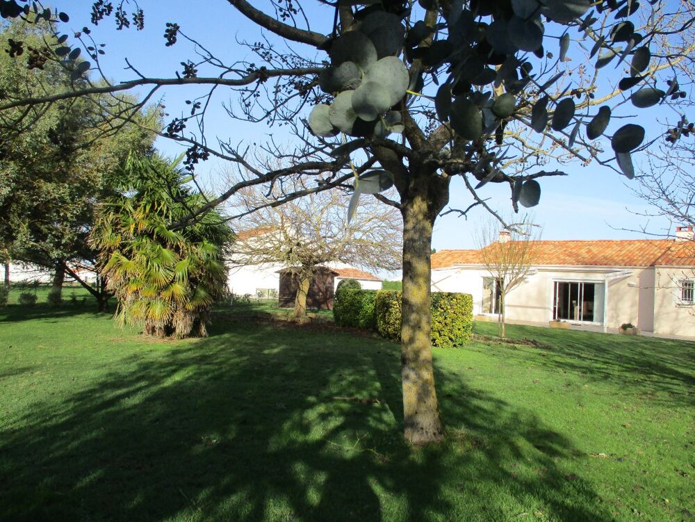 Vente Maison Maison Saint vincent sur jard