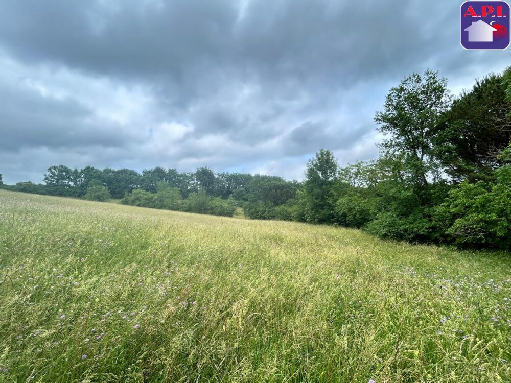 Ensemble Immobilier