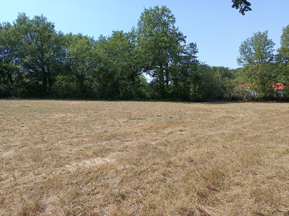 Vente Terrain Terrain constructible Saix