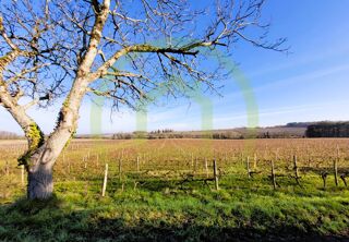  Terrain � vendre 2117 m�