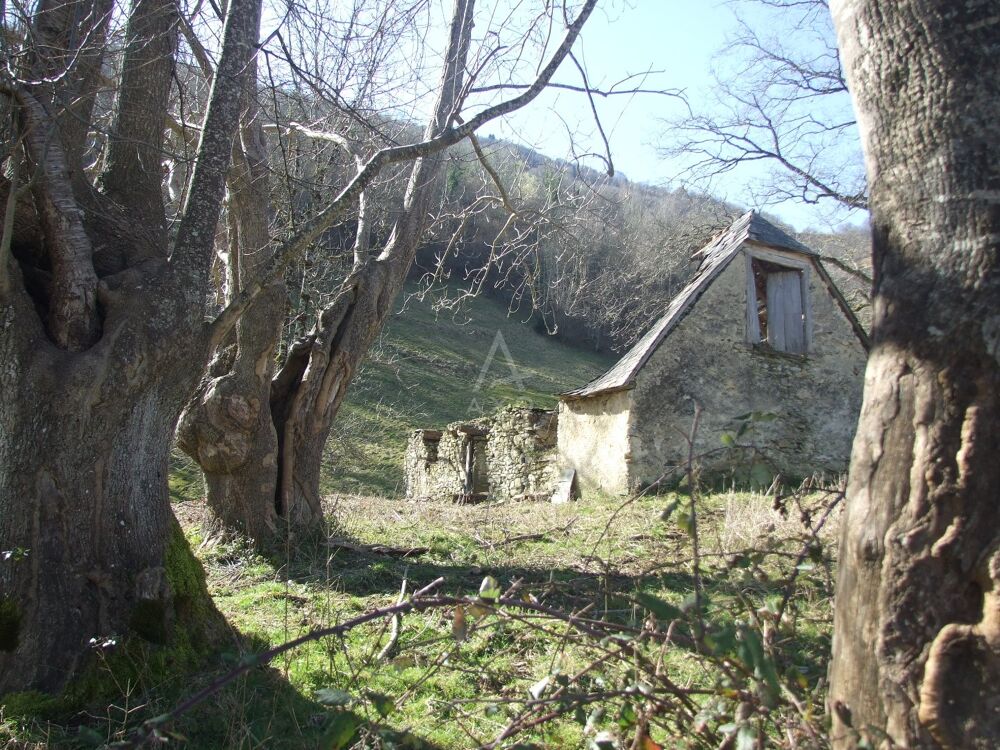 Vente Maison Grange Ourdis cotdoussan