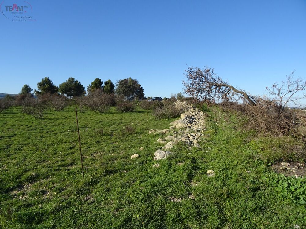 Vente Terrain Terrain agricole Poussan