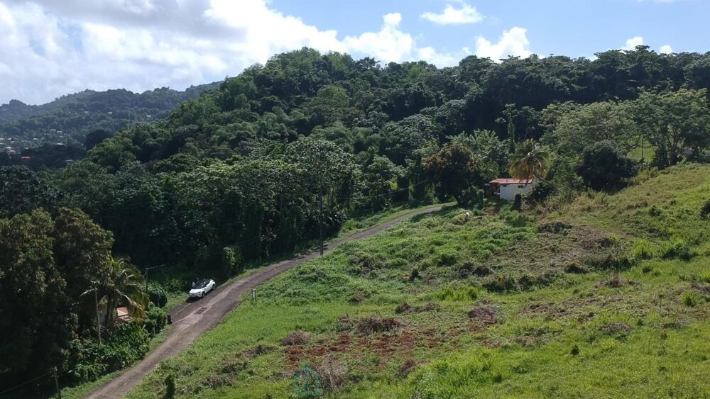 Vente Terrain Terrain Le lamentin