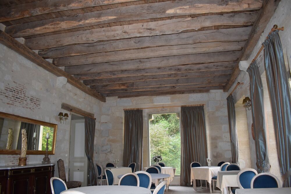 � vendre  Propri�t�/ch�teau Escoire (24420)