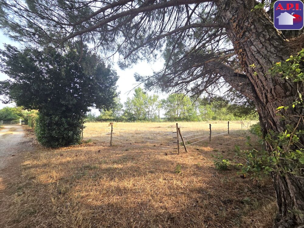 Vente Villa Corps de ferme Mazeres