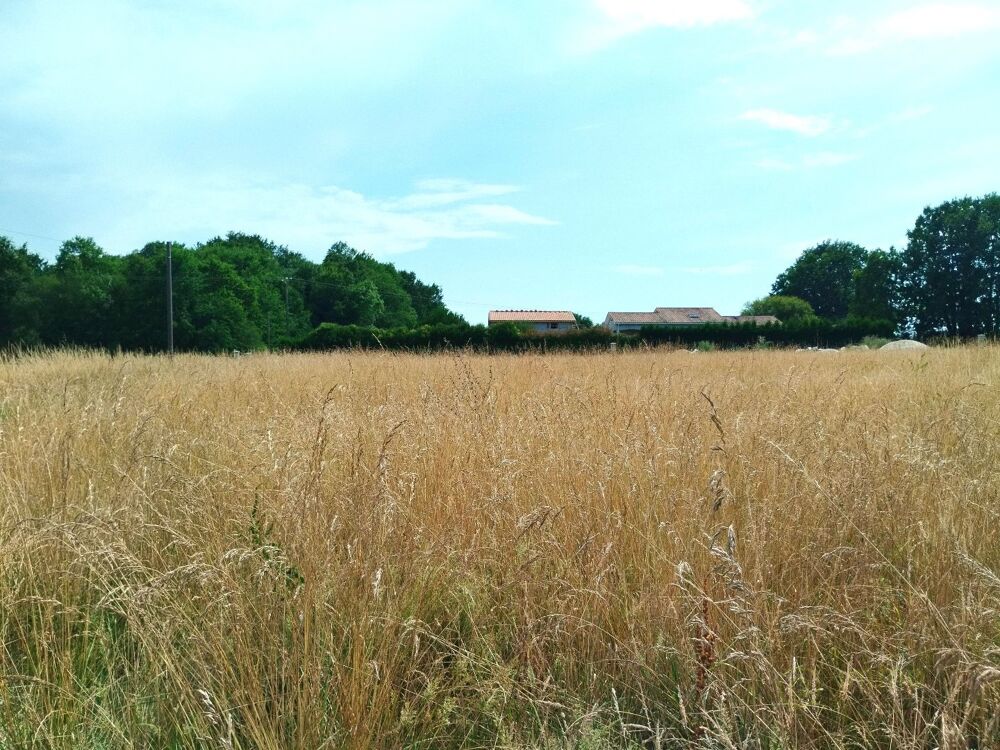 Vente Terrain Terrain Merignac