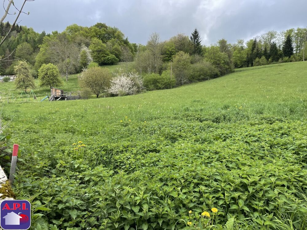 Vente Terrain Terrain Roquefeuil