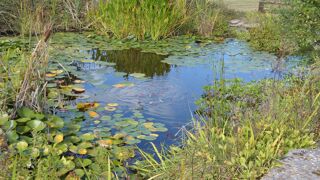  Maison � vendre 9 pi�ces 200 m�