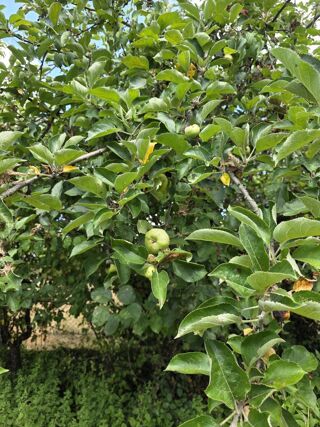  Terrain � vendre 919 m�