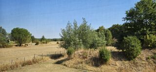 Vente Maison Maison individuelle Rosnay