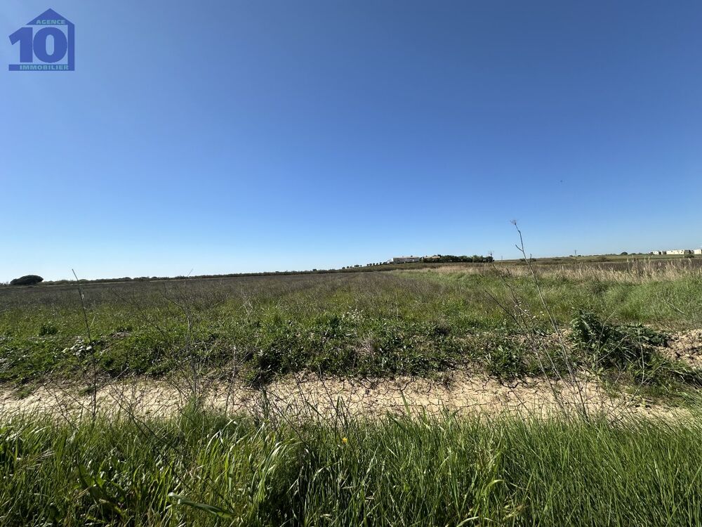 Vente Terrain Terrain agricole Serignan