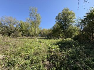  Terrain � vendre 2477 m�