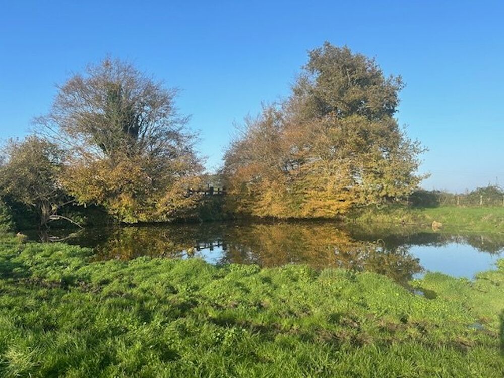 � vendre  Maison La Fert�-Bernard (72400)