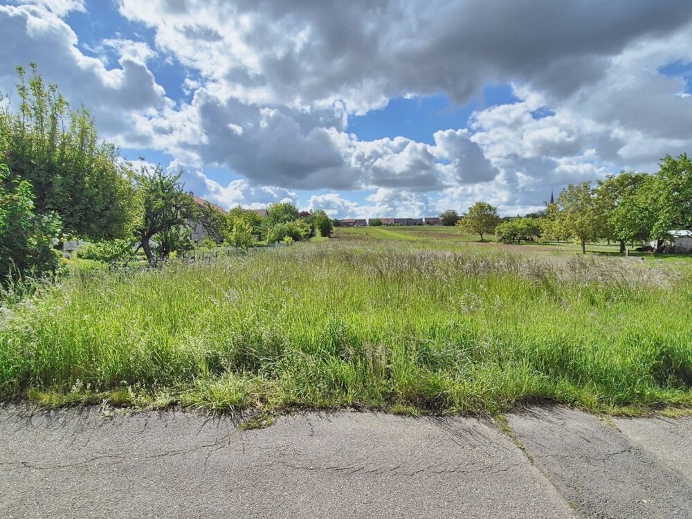 Vente Terrain Terrain constructible Servigny les sainte barbe