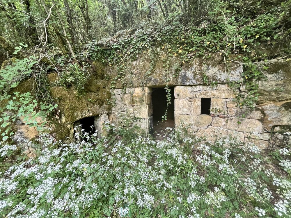 à vendre  Maison Saint-Léon-sur-Vézère (24290)